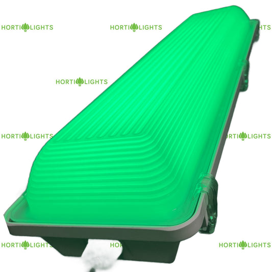 Valor 2' Green Ambient Vaportight